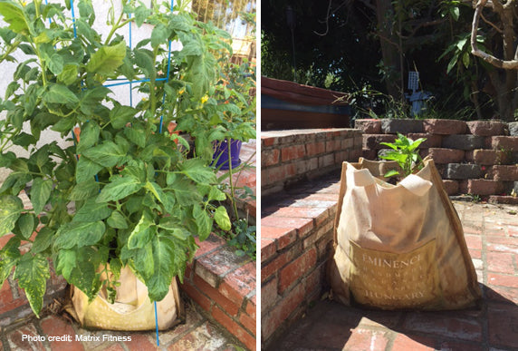 Unexpected Gardening Secrets from Eminence