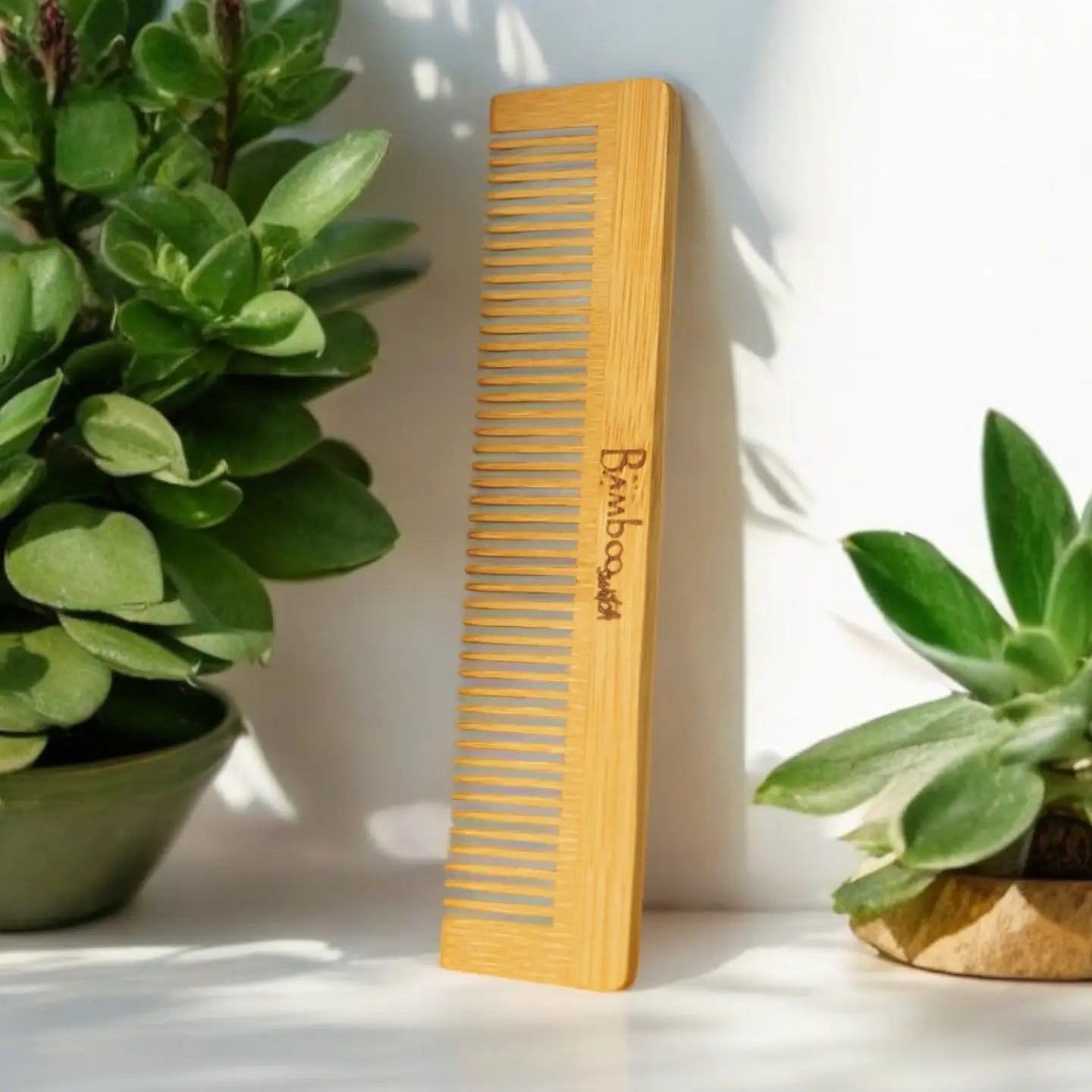 Hair & Body Brushes