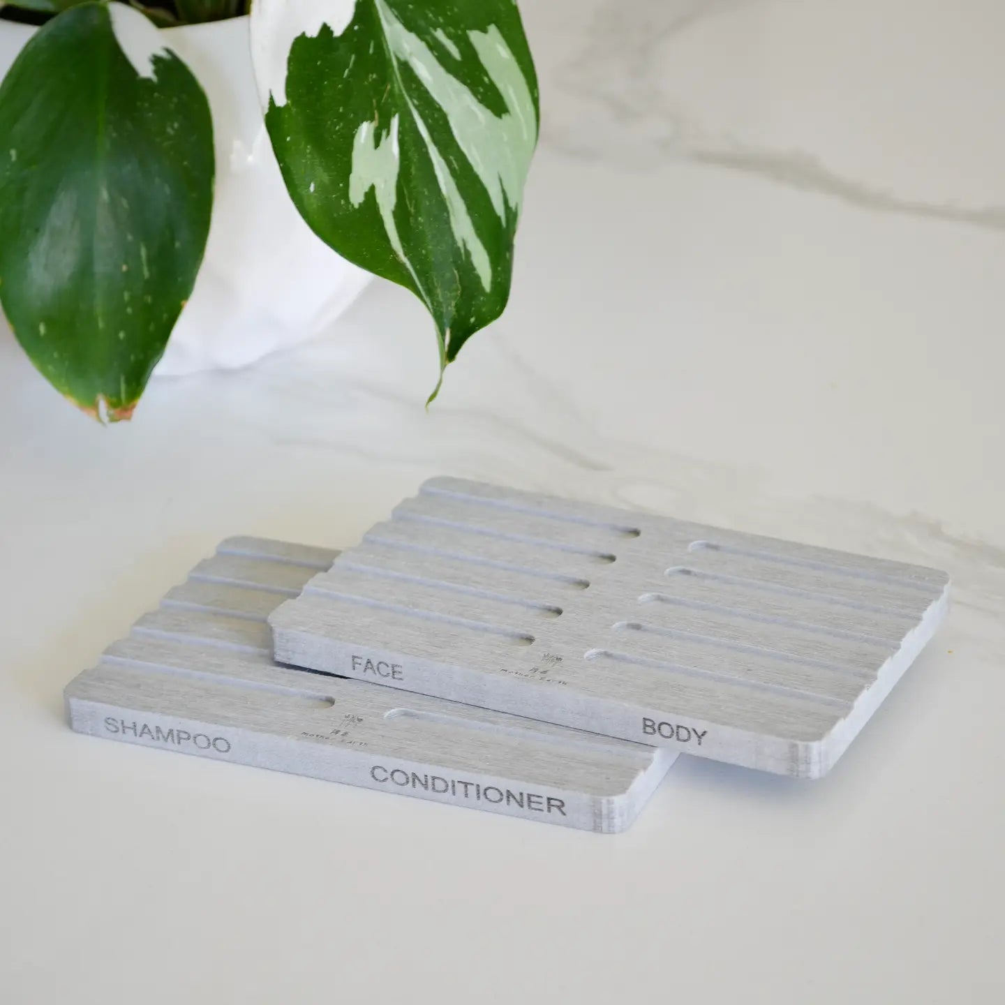 Soap Tray