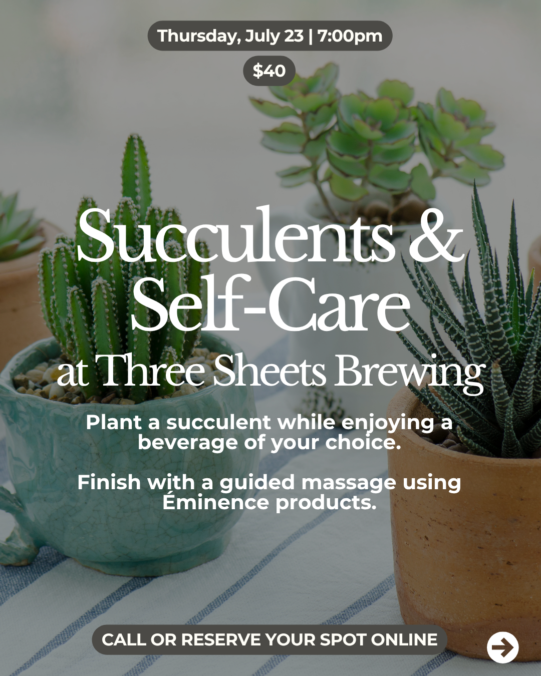 Succulents and Self Care