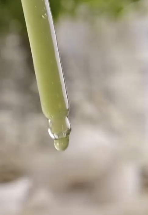 Eight Greens Youth Serum