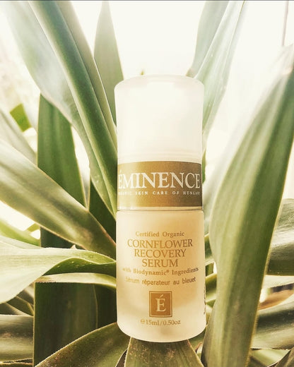 Cornflower Recovery Serum