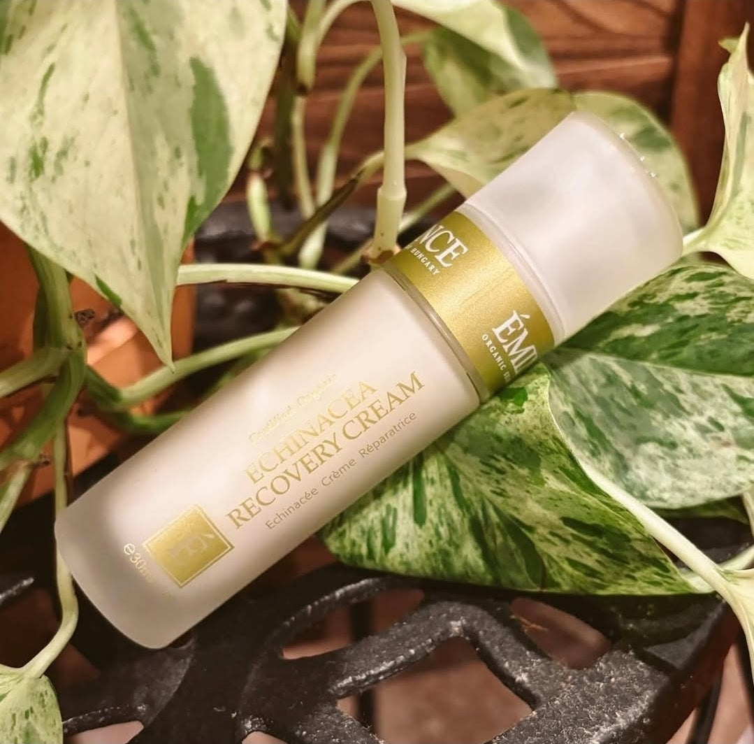 Echinacea Recovery Cream