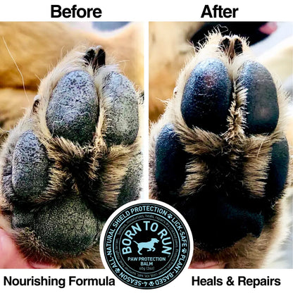 Dog Balm
