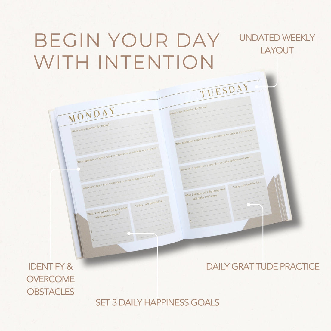 Mind Cards & Notebooks