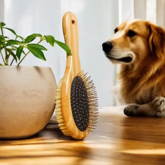Dog Care